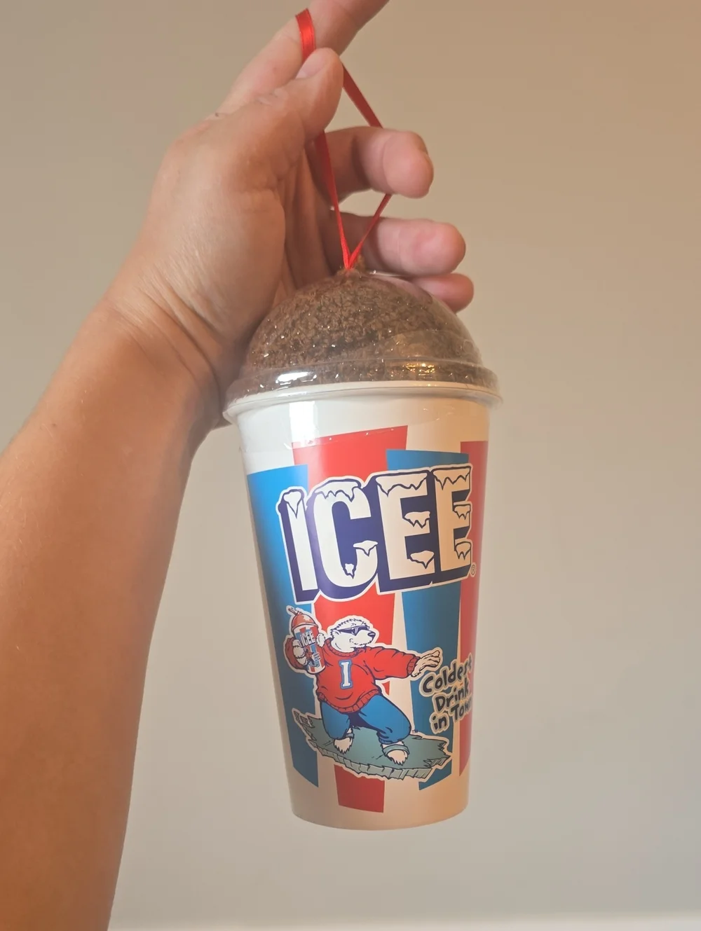 Icee Womens Cozy Socks Gift Set